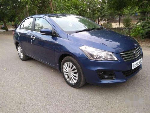 Maruti Suzuki Ciaz VDi SHVS Optional, 2017, Diesel MT for sale in Noida