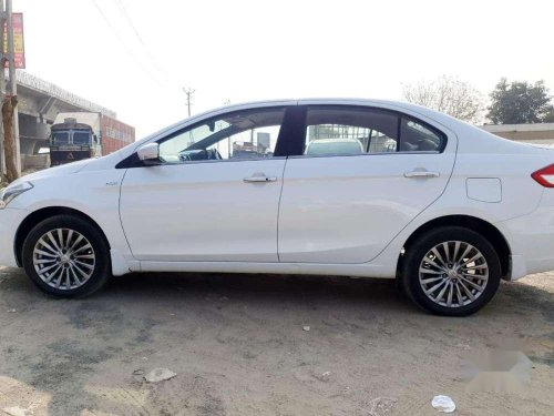 2016 Maruti Suzuki Ciaz MT for sale at low price in Ahmedabad