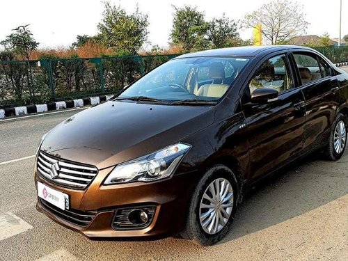 Maruti Suzuki Ciaz, 2015, Petrol MT in Faridabad