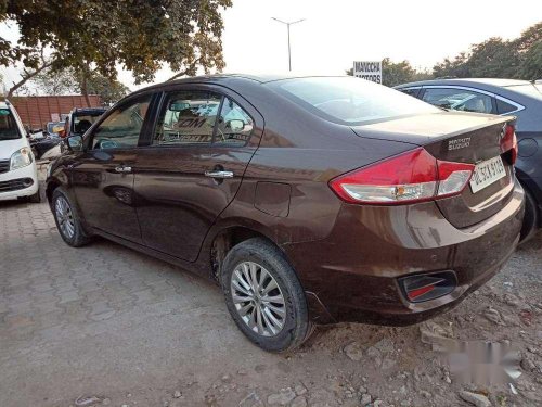 Used Maruti Suzuki Ciaz 2014 MT for sale in Faridabad at low price