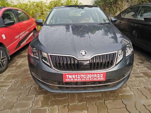 Used Skoda Octavia 2018 AT for sale in Chennai