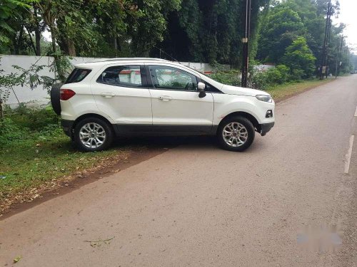 Used 2013 EcoSport  for sale in Bhilai
