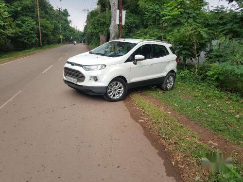 Used 2013 EcoSport  for sale in Bhilai