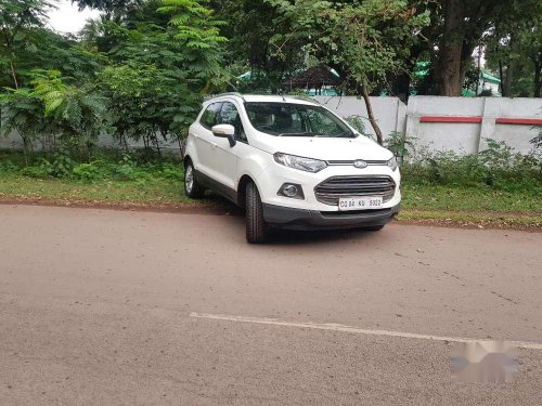 Used 2013 EcoSport  for sale in Bhilai