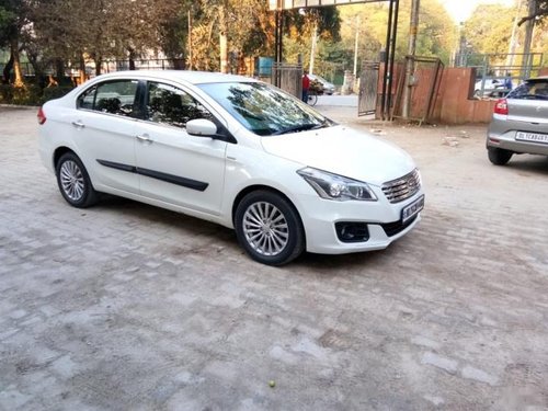 2015 Maruti Ciaz ZDi Plus MT for sale in New Delhi