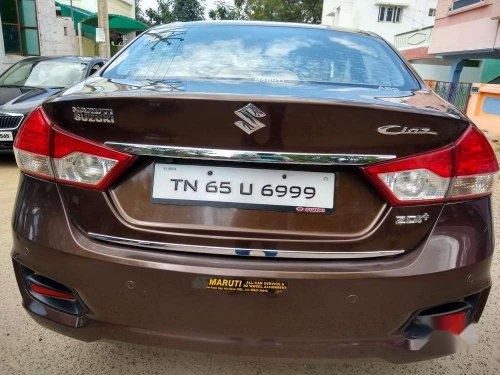 Used 2015 Maruti Suzuki Ciaz MT for sale in Dindigul 