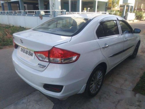 Used Maruti Suzuki Ciaz 2016 AT for sale in Salem 