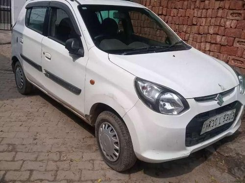 Used 2013 Maruti Suzuki Alto 800 MT for sale in Faridabad 