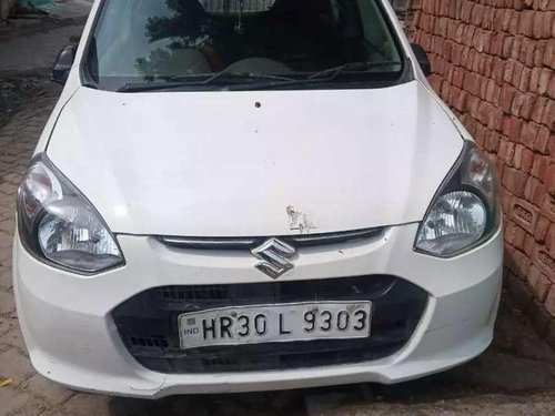 Used 2013 Maruti Suzuki Alto 800 MT for sale in Faridabad 