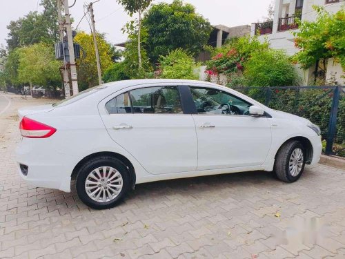 Used Maruti Suzuki Ciaz 2015 MT for sale in Panipat