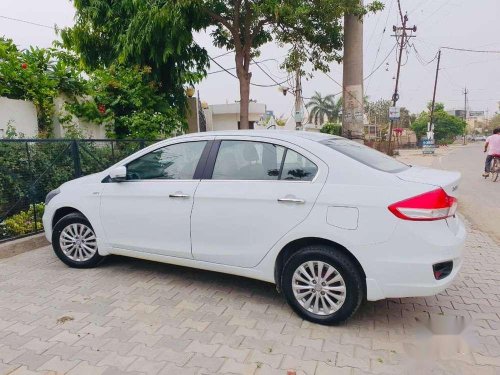 Used Maruti Suzuki Ciaz 2015 MT for sale in Panipat