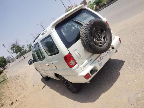 Tata Safari 4x2 EX DICOR BS-IV, 2011, Diesel MT in Jaipur 