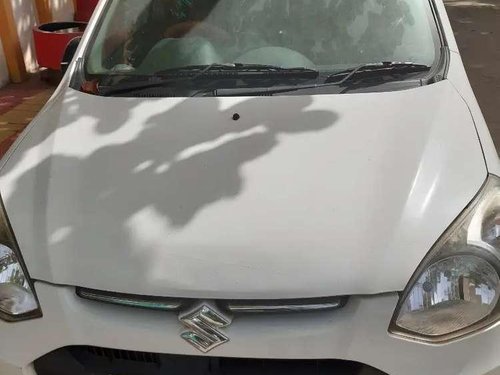 2016 Maruti Suzuki Alto 800 MT for sale in Dewas