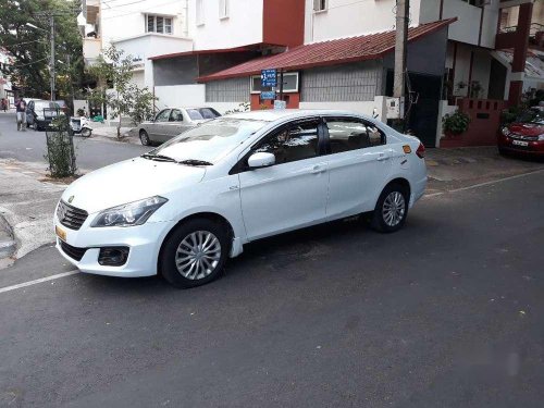 Maruti Suzuki Ciaz 2016 MT for sale in Nagar