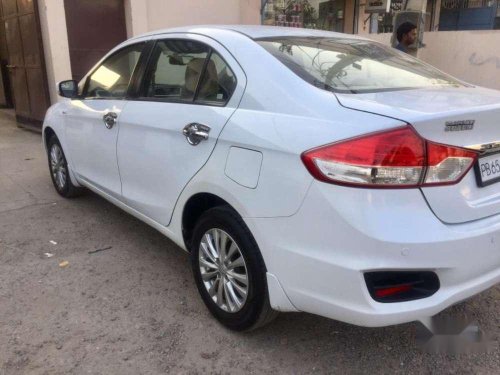 2015 Maruti Suzuki Ciaz MT for sale in Chandigarh