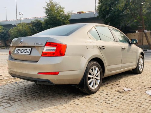 2016 Skoda Octavia for sale at low price