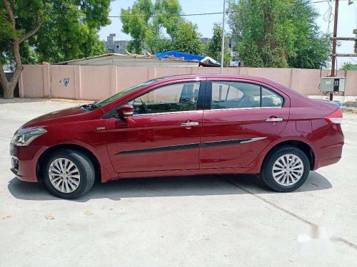 Used Maruti Suzuki Ciaz 2015 MT for sale in Vadodara 