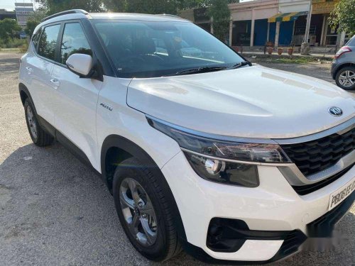 2019 Kia Seltos AT for sale in Jalandhar