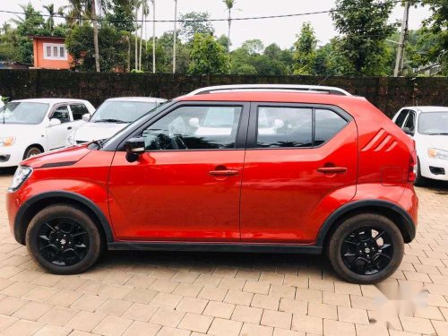 2019 Maruti Suzuki Ignis 1.2 AMT Alpha AT for sale in Kannur