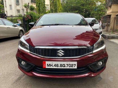 2020 Maruti Suzuki Ciaz Alpha MT for sale in Mumbai