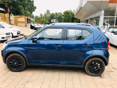 2019 Maruti Suzuki Ignis 1.2 Alpha MT for sale in Kannur