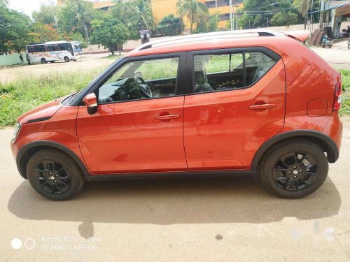 Used Maruti Suzuki Ignis 1.2 Alpha 2019 MT for sale in Hyderabad 