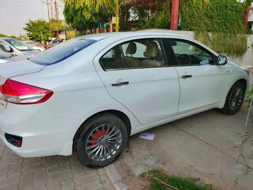 Used 2015 Maruti Suzuki Ciaz MT for sale in Vadodara