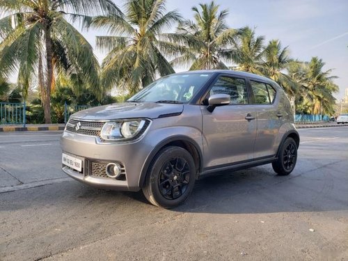 Used Maruti Suzuki Ignis 2017 MT for sale in Mumbai