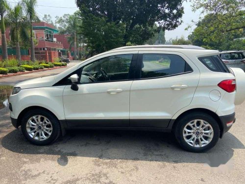 Used Ford Ecosport 2013 MT for sale in Chandigarh 