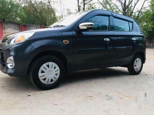 Maruti Suzuki Alto 800 VXI 2019 MT for sale in Gwalior 