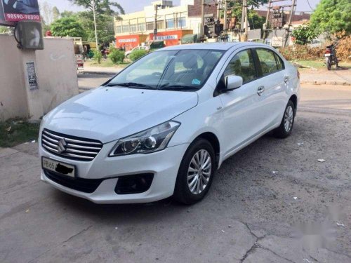 Maruti Suzuki Ciaz ZDi (O), 2015, Diesel MT for sale in Chandigarh