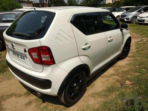 Maruti Suzuki Ignis 2017 MT for sale in Chandigarh 