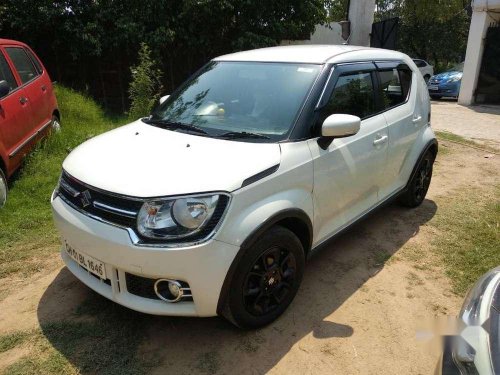 Maruti Suzuki Ignis 2017 MT for sale in Chandigarh 