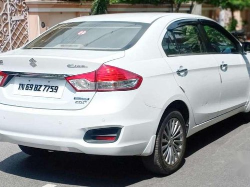 Used Maruti Suzuki Ciaz 2016 MT for sale in Salem 