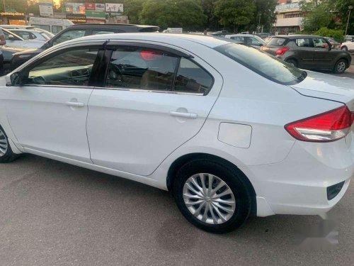 2016 Maruti Suzuki Ciaz MT for sale in Chandigarh