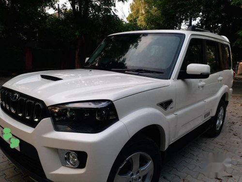 Used 2019 Mahindra Scorpio S11 AT for sale in Jalandhar 