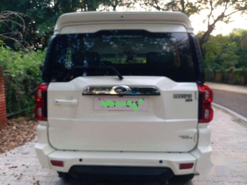 Used 2019 Mahindra Scorpio S11 AT for sale in Jalandhar 