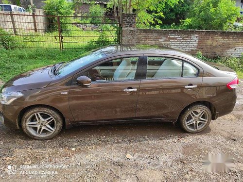 2015 Maruti Suzuki Ciaz MT for sale in Jalgaon