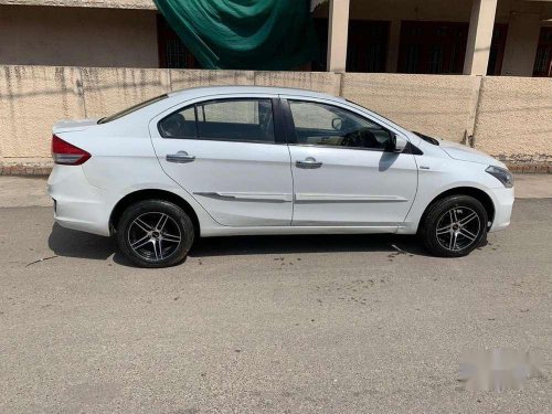 Used 2015 Maruti Suzuki Ciaz MT for sale in Jalandhar