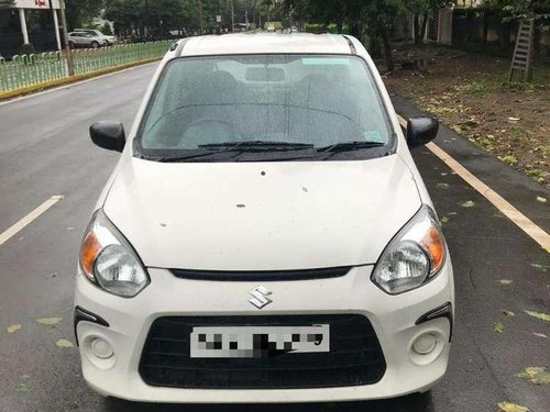 Used Maruti Suzuki Alto 800 VXI 2019 MT for sale in Raipur