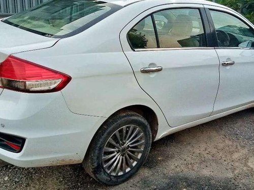 2015 Maruti Suzuki Ciaz MT for sale in Panchkula