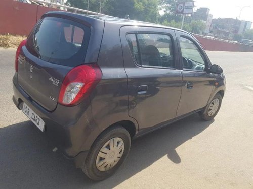 Used Maruti Suzuki Alto 800 LXI 2016 MT for sale in Jaipur 