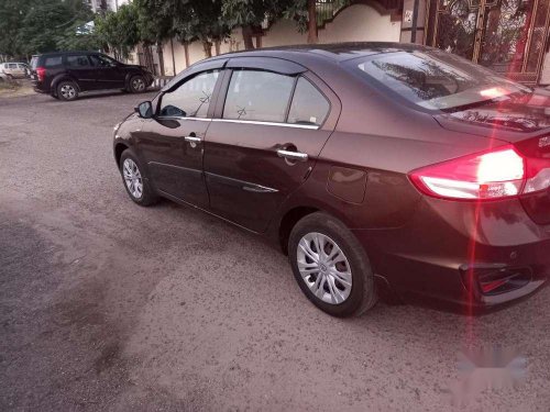 Used Maruti Suzuki Ciaz 2014 MT for sale in Jaipur 