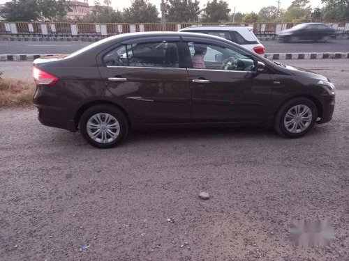 Used Maruti Suzuki Ciaz 2014 MT for sale in Jaipur 