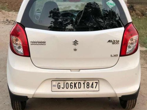 2016 Maruti Suzuki Alto 800 LXI MT in Anand