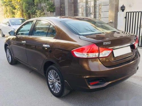 Used Maruti Suzuki Ciaz 2016 MT for sale in Bhopal 