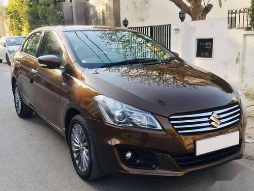 Used Maruti Suzuki Ciaz 2016 MT for sale in Bhopal 