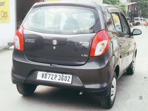 Maruti Suzuki Alto 800 Lxi, 2016, Petrol MT in Siliguri