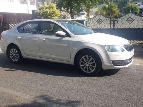 Used Skoda Octavia 2016 AT for sale in Salem 