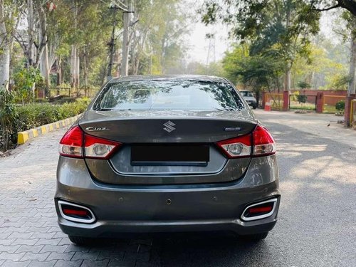 2019 Maruti Suzuki Ciaz Delta Diesel MT for sale in Jalandhar